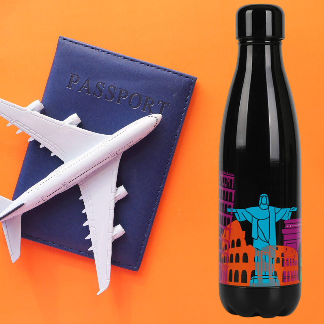 Thermal bottle 500ml World