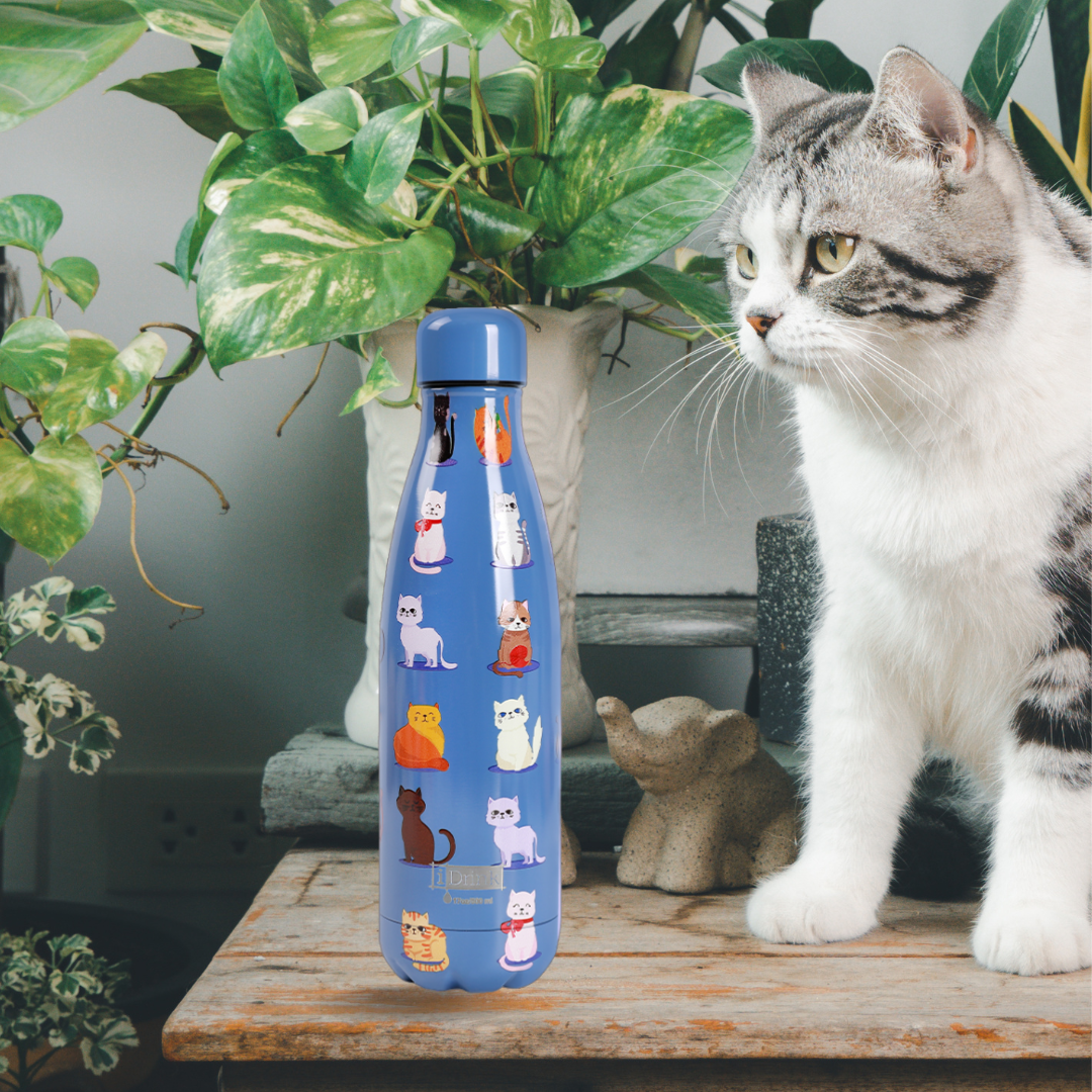 Thermal bottle 500ml Blue Cats