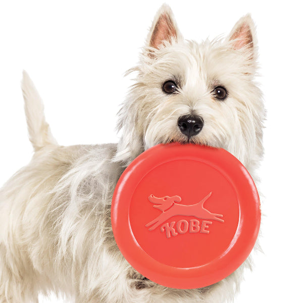 Bacon-Scented Frisbee for Dogs - Flying Disc