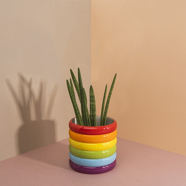 Rainbow Ceramic Plant Pot Holder - 12cm Flower Pot