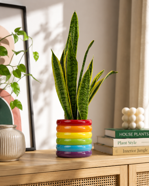 Rainbow Ceramic Plant Pot Holder - 12cm Flower Pot