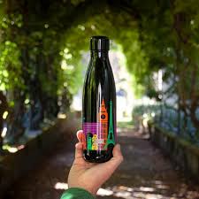 Thermal bottle 500ml World