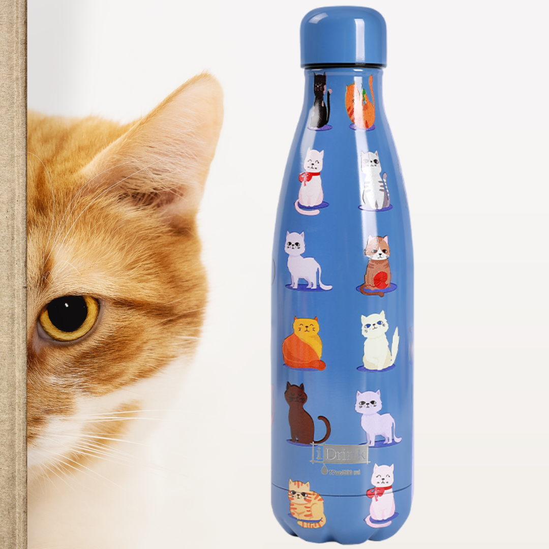 Thermal bottle 500ml Blue Cats
