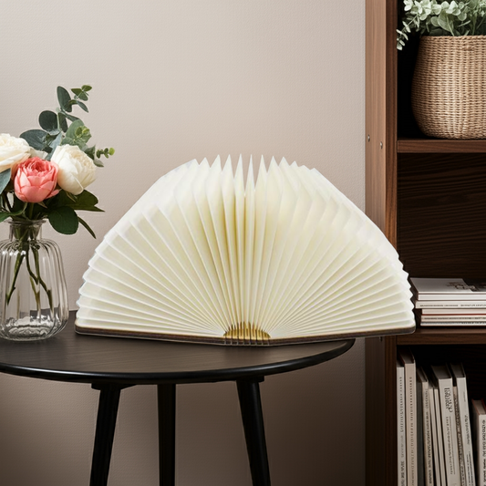 LED Book Light